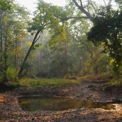 Waterhole 7065
