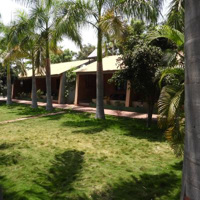Lush Green Garden